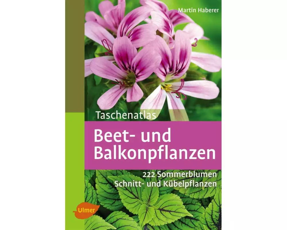 Beet- und Balkonpflanzen