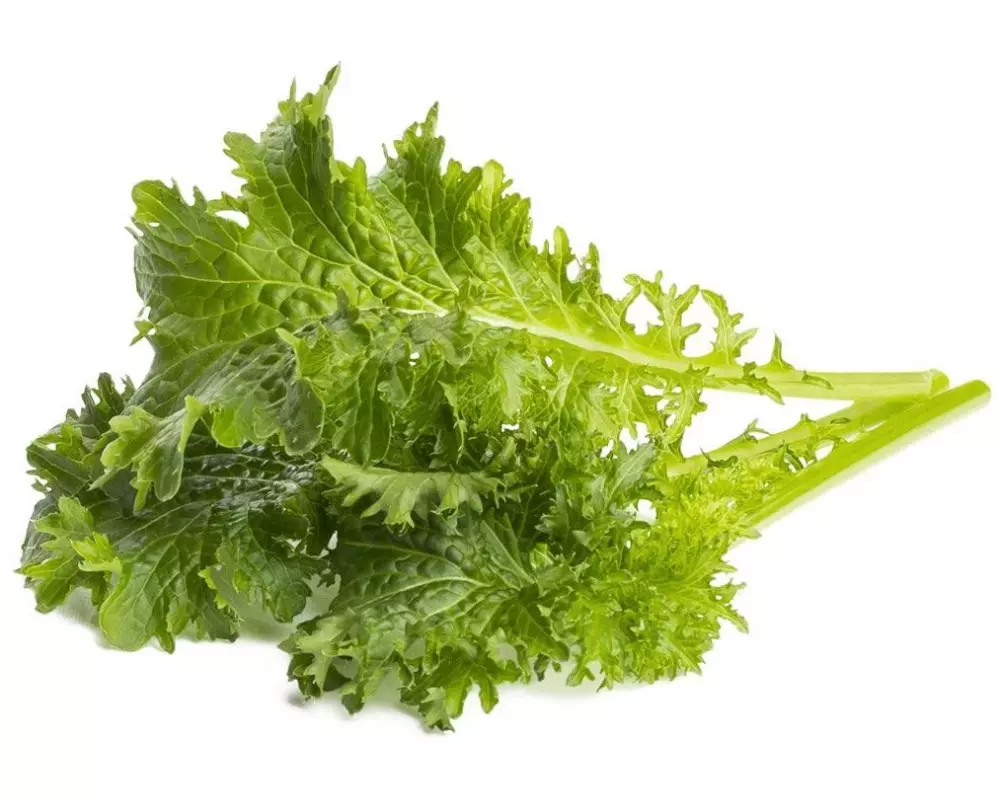 Click and Grow Samen Wasabi-Senf 3er-Pack