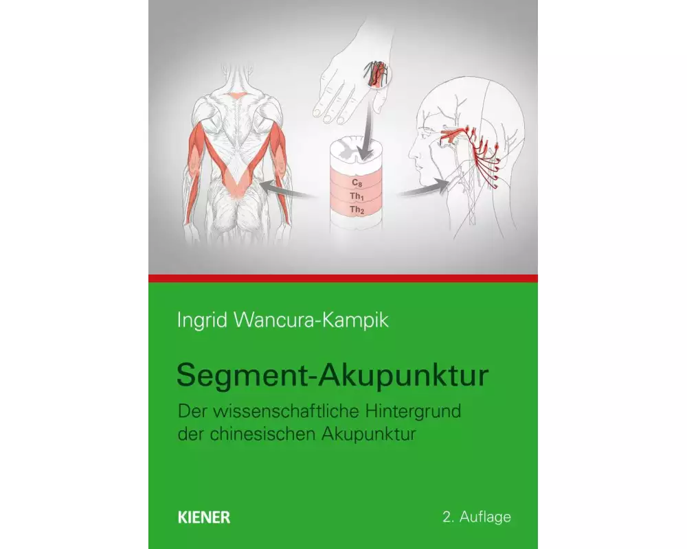 Segment-Akupunktur