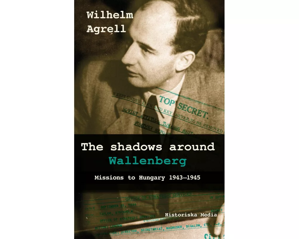 The shadows around Wallenberg