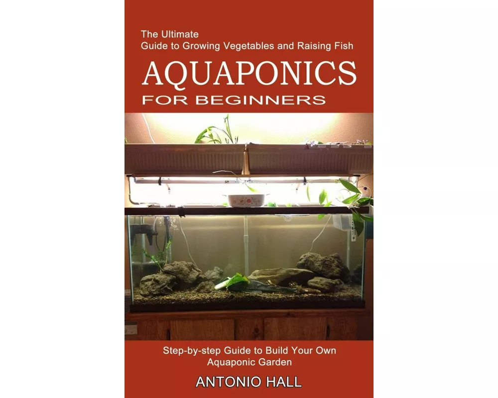 Aquaponics for Beginners