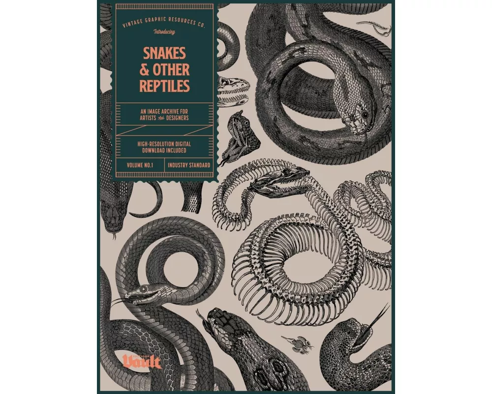 Snakes and Other Reptiles