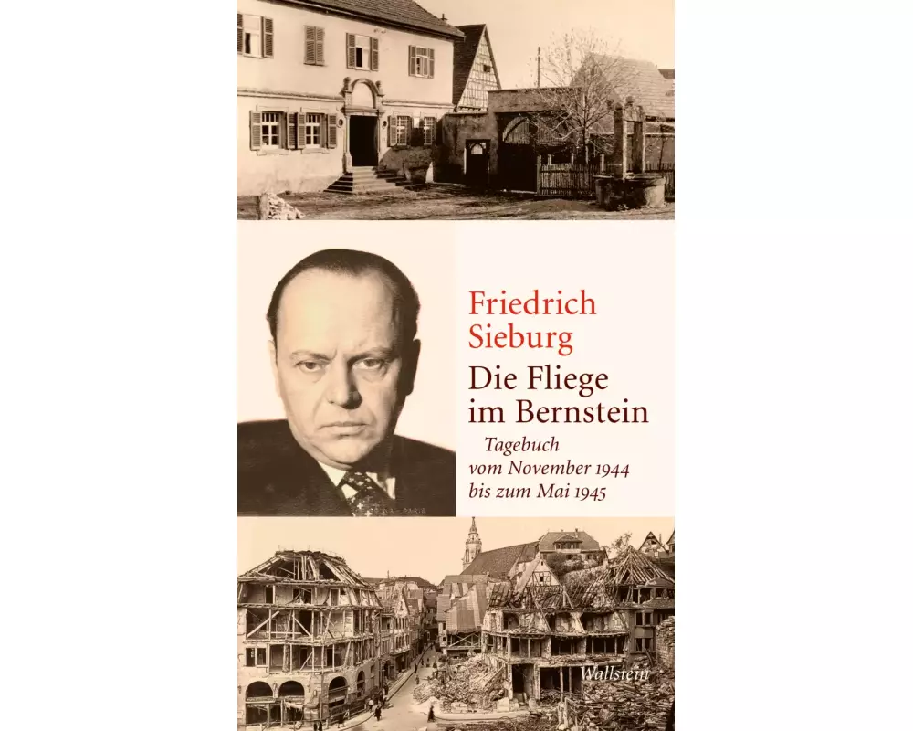 Die Fliege im Bernstein