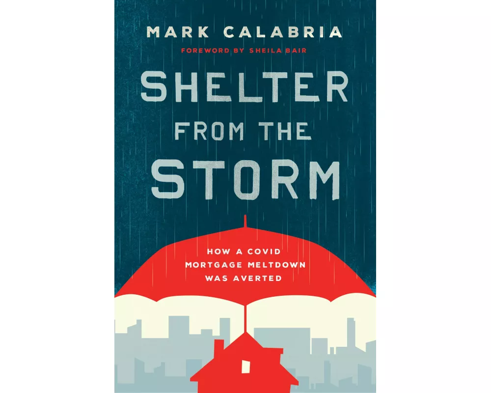 Shelter From the Storm