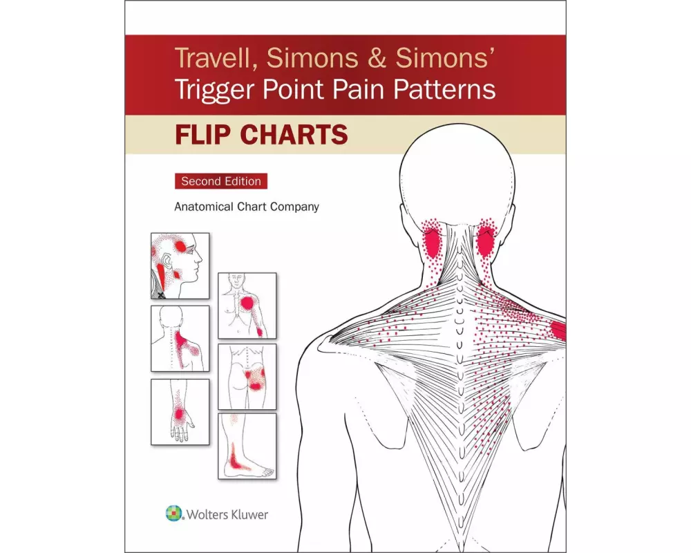Travell, Simons & Simons’ Trigger Point Pain Patterns Flip Charts