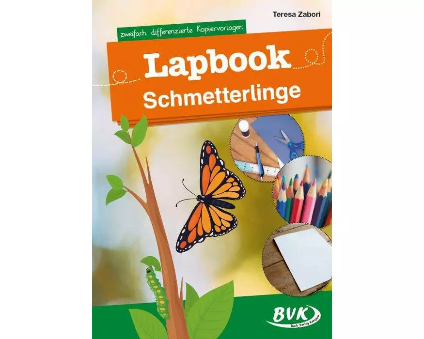 Lapbook Schmetterlinge