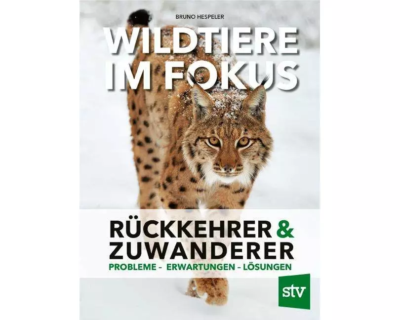 Wildtiere im Fokus