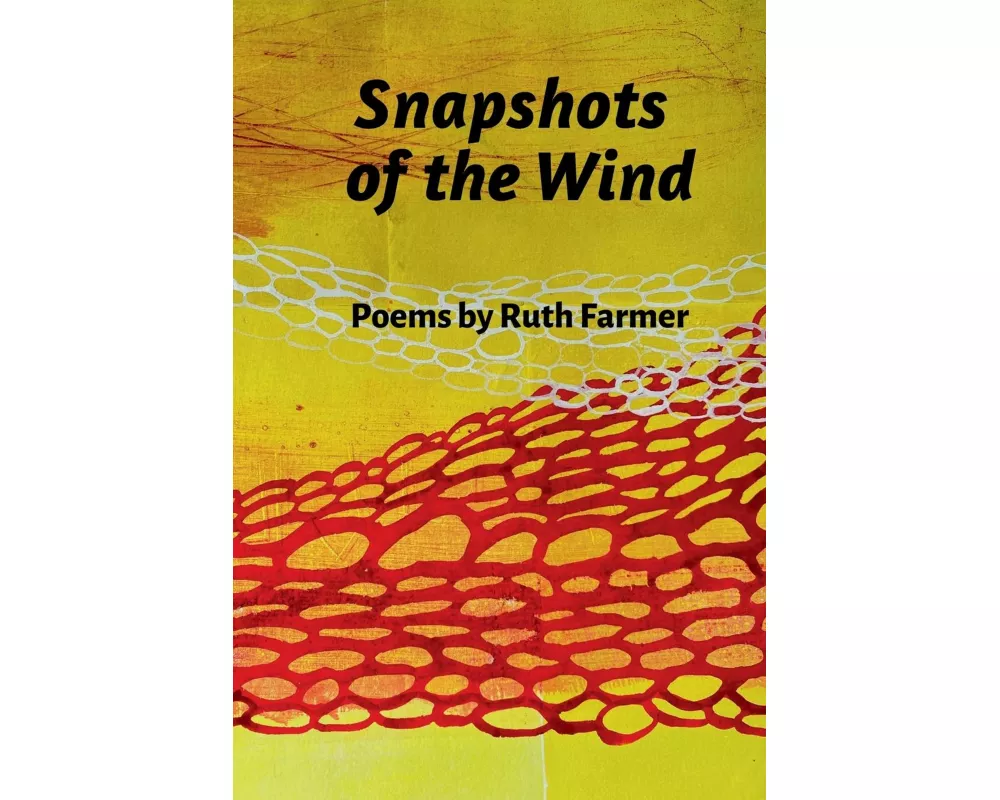 Snapshots of the Wind
