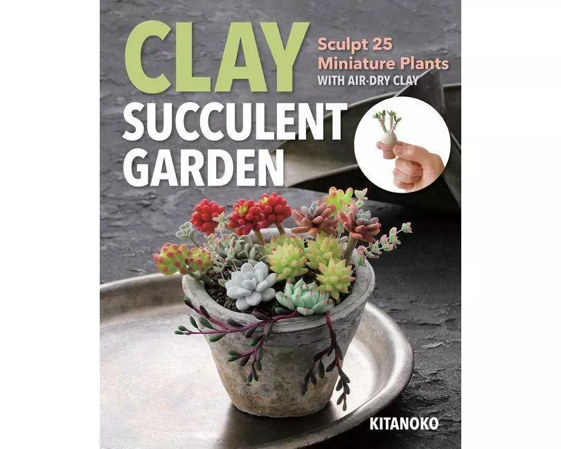 Clay Succulent Garden
