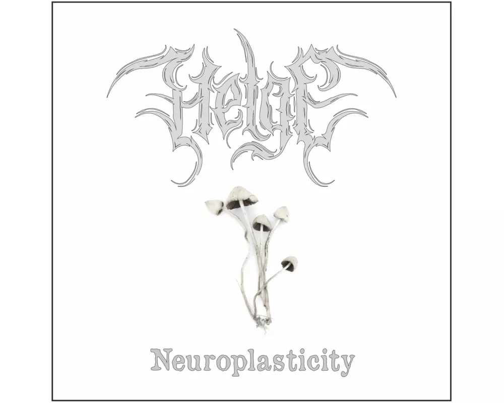 Neuroplasticity