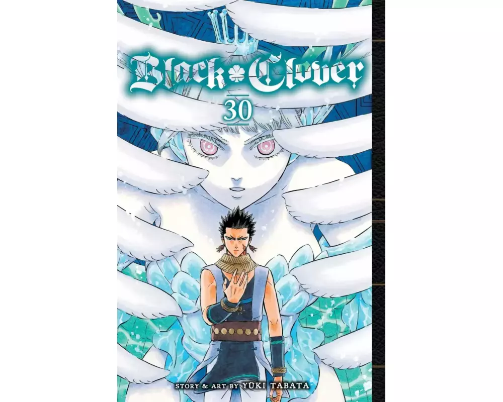 Black Clover, Vol. 30