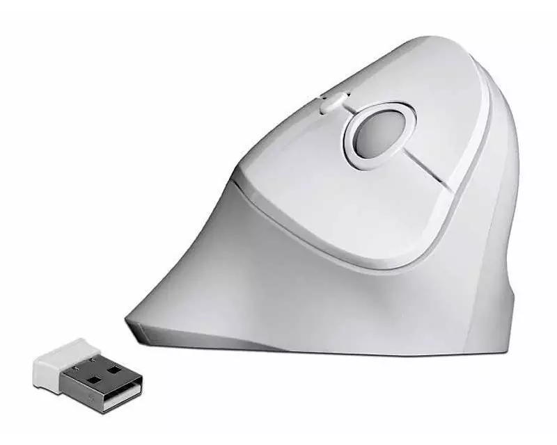 Delock Ergonomische Maus 12596 USB kabellos