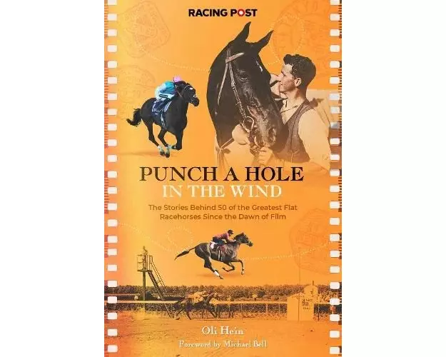 Punch a Hole