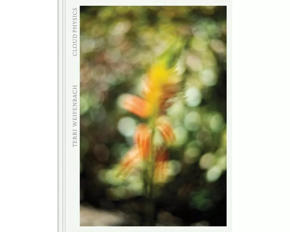 Terri Weifenbach: Cloud Physics
