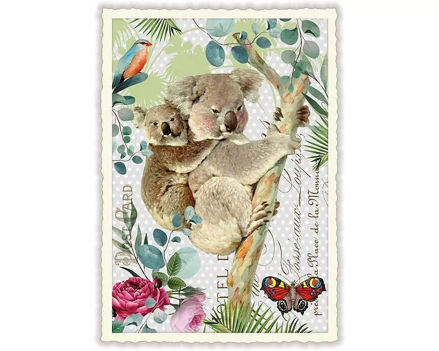 Postkarte / Koalas / hoch / blanko