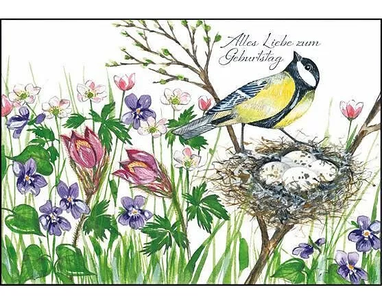 Doppelkarte. Zum Geburtstag (Kohlmeise)
