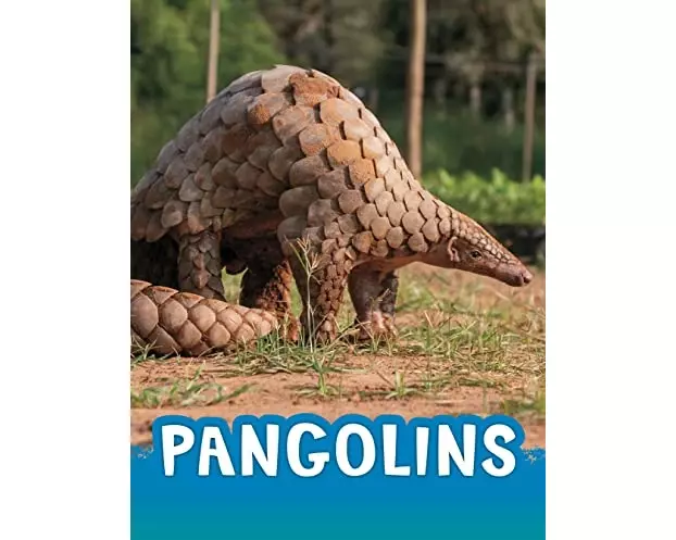 Pangolins
