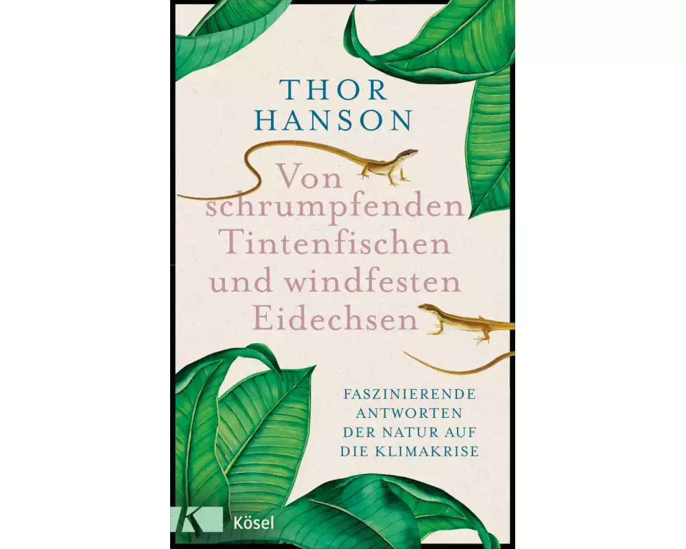 Von schrumpfenden Tintenfischen und windfesten Eidechsen