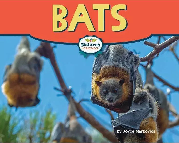 Bats