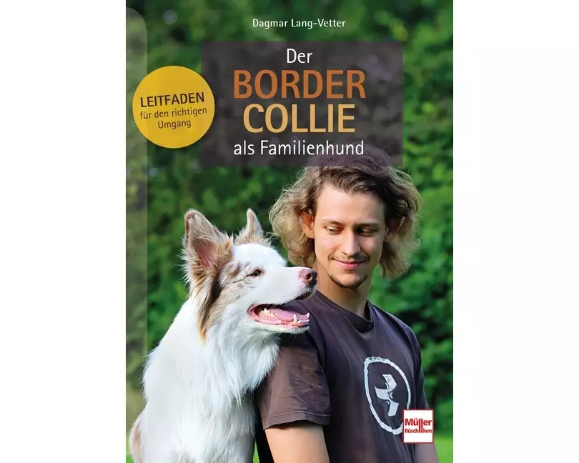 Der Border Collie als Familienhund
