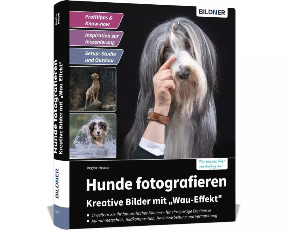 Hunde fotografieren - Kreative Bilder mit "Wau-Effekt"