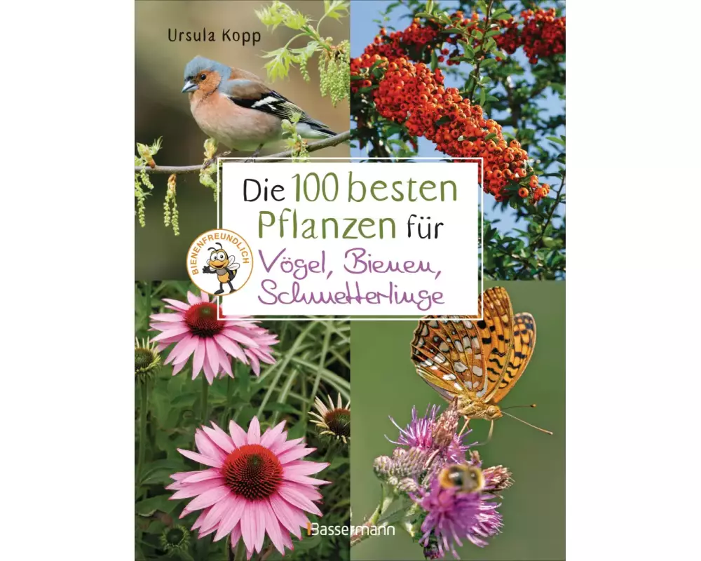 Die 100 besten Pflanzen für Vögel, Bienen, Schmetterlinge