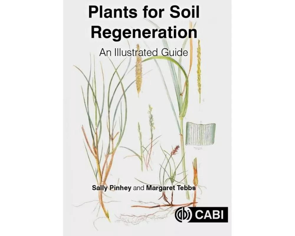 Plants for Soil Regeneration