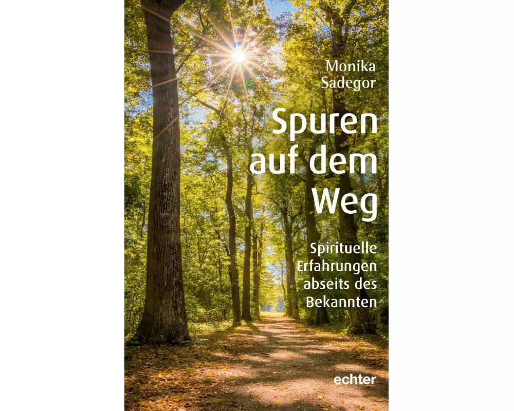 Spuren auf dem Weg