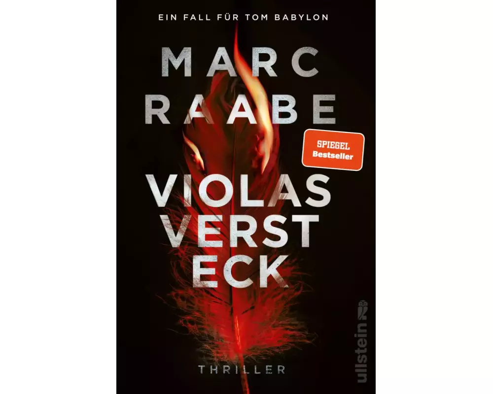 Violas Versteck (Tom-Babylon-Serie 4)