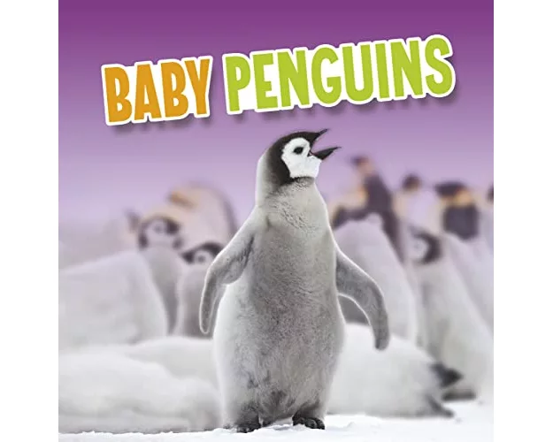 Baby Penguins