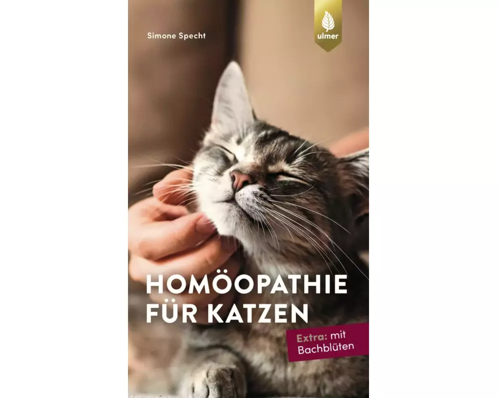 Homöopathie für Katzen