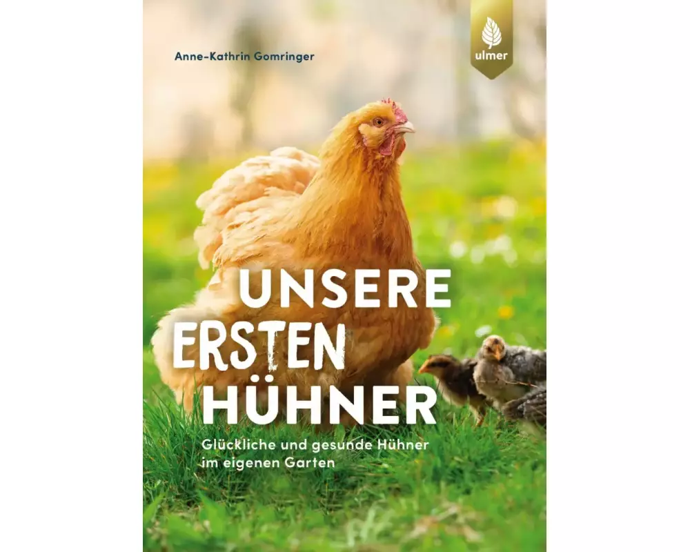 Unsere ersten Hühner