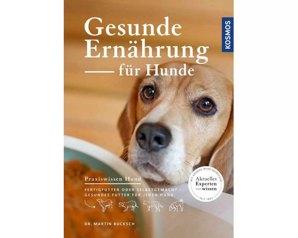 Gesunde Ernährung für Hunde
