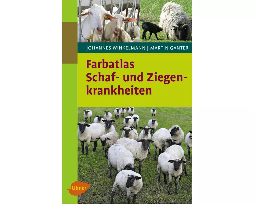 Farbatlas Schaf- und Ziegenkrankheiten