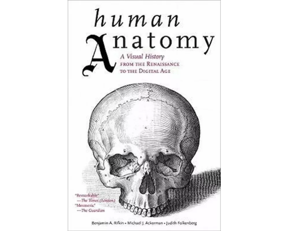 Human Anatomy