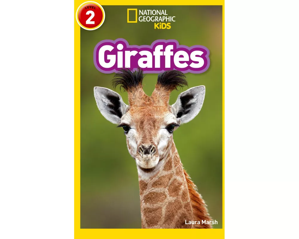 Giraffes