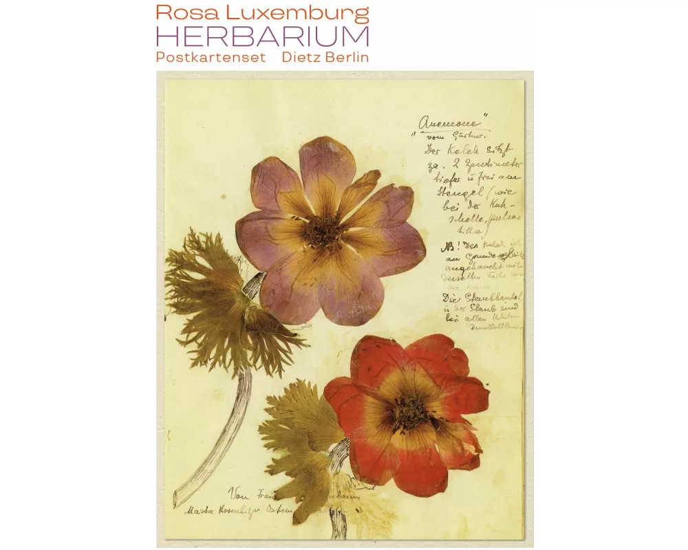 Herbarium Postkartenset