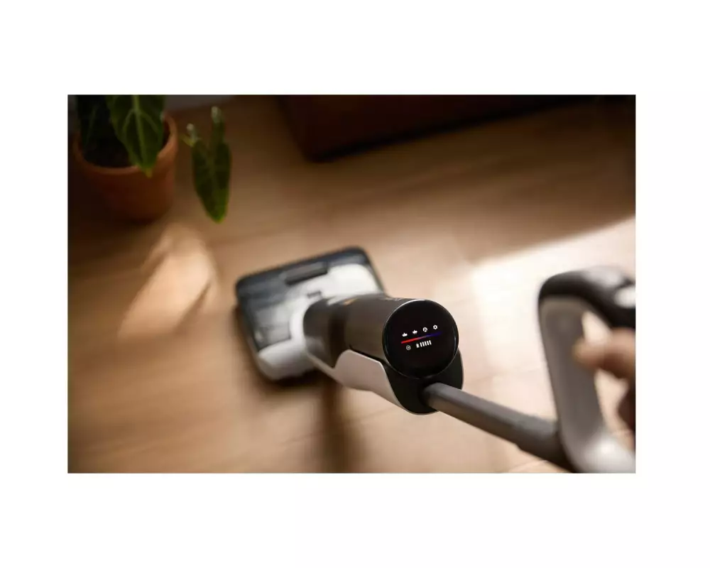 Roborock Nass-Trockensauger F25 Grau