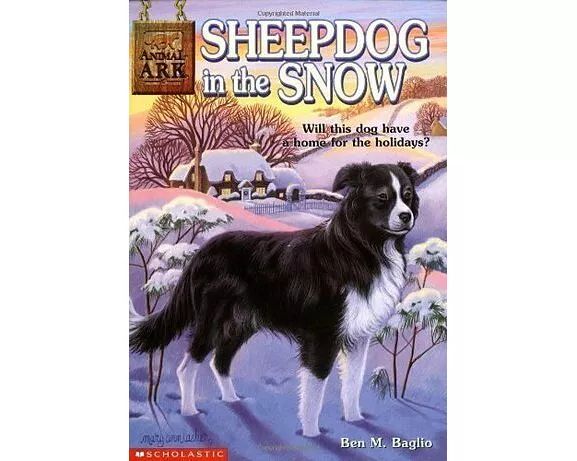Animal Ark Sheepdog in Snow