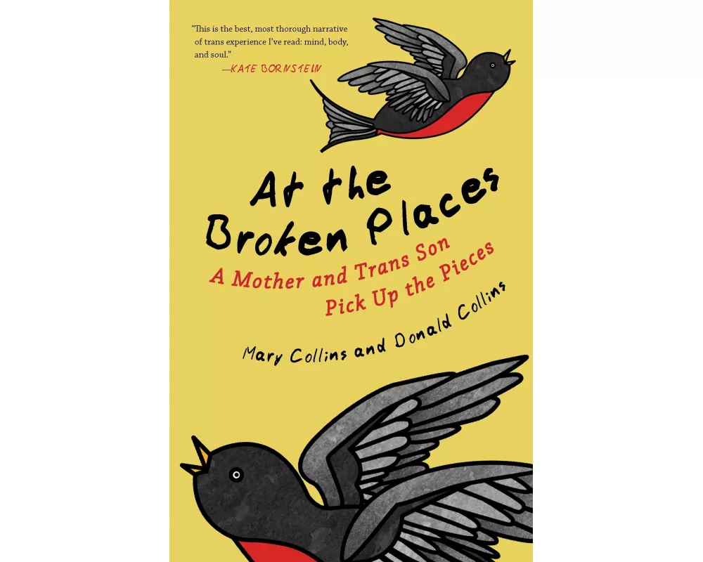 At the Broken Places