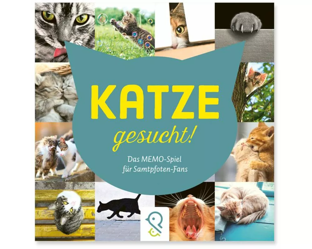Katze gesucht!