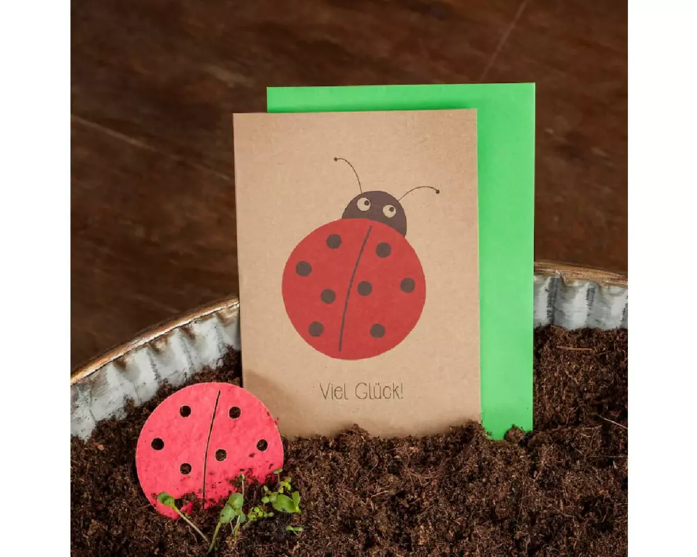 Die Stadtgärtner Saatgrusskarte Viel Glück Marienkäfer Bunt Karton Saatpapier