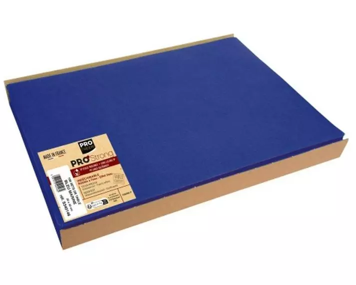 PRO nappe Tischset 100 Stück, 30 cm x 40 cm, Marineblau