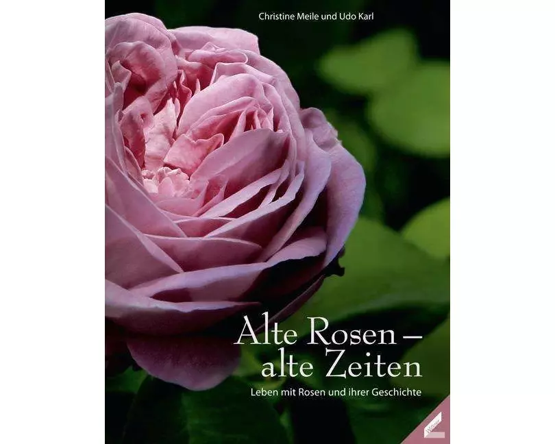 Alte Rosen - alte Zeiten