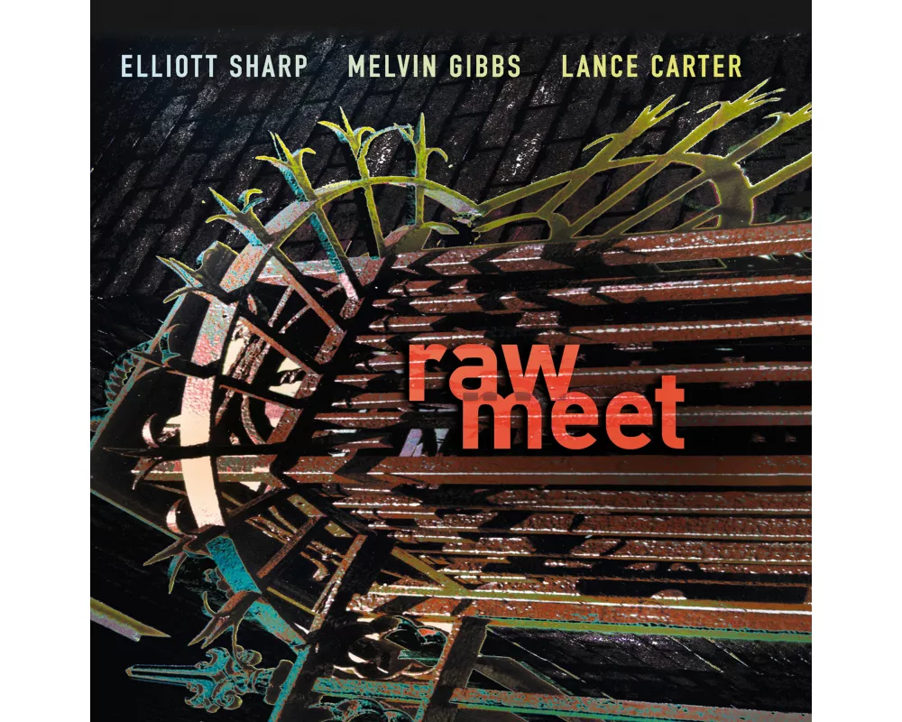 Raw Meet