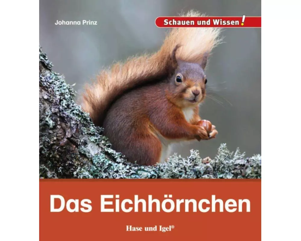 Das Eichhörnchen