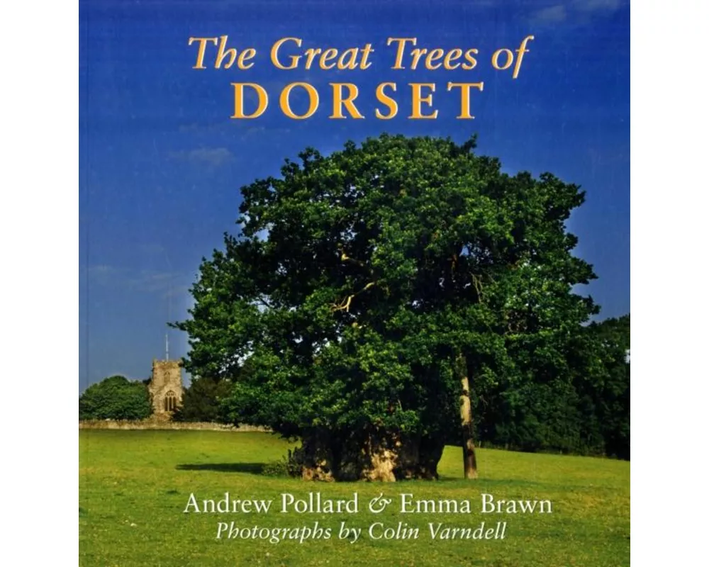 The Great Trees of Dorset