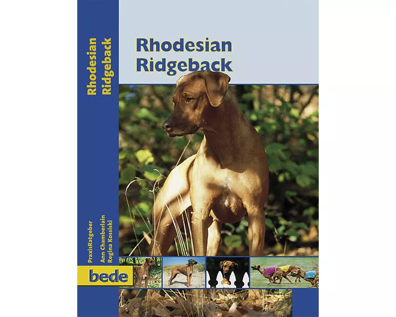 Rhodesian Ridgeback