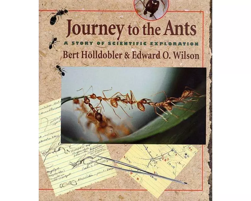 Journey to the Ants