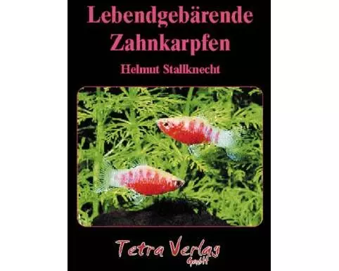 Lebendgebärende Zahnkarpfen